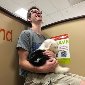 Meet your Posher, Owen